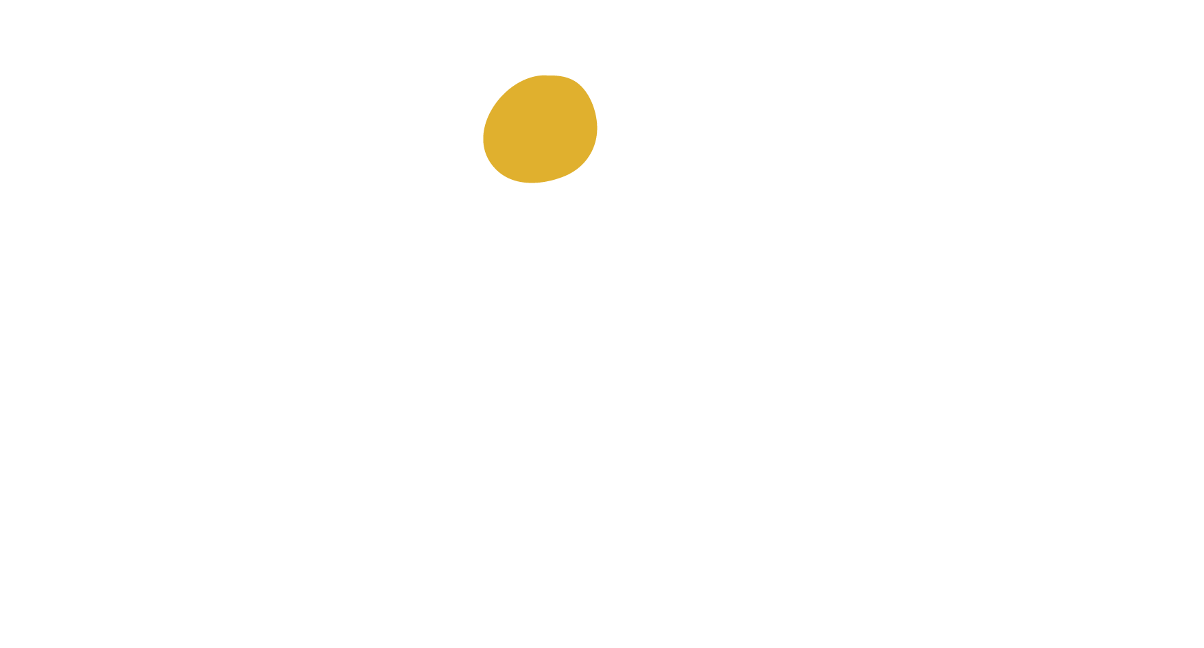 Wiks